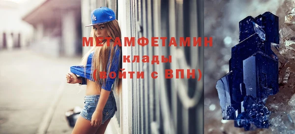 шишки Абаза