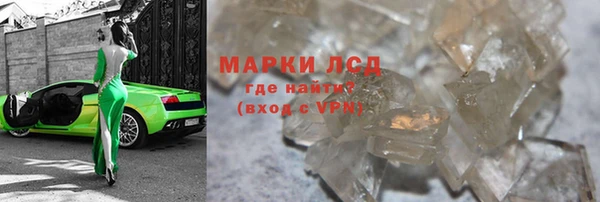 шишки Абаза
