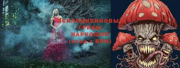шишки Абаза