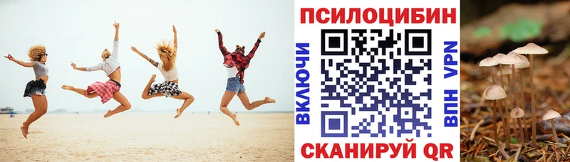 закладки  Каменск-Шахтинский  блэк спрут ONION  Псилоцибиновые грибы ЛСД 