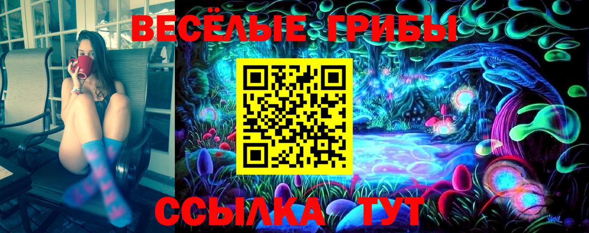 Псилоцибиновые грибы MAGIC MUSHROOMS Каменск-Шахтинский