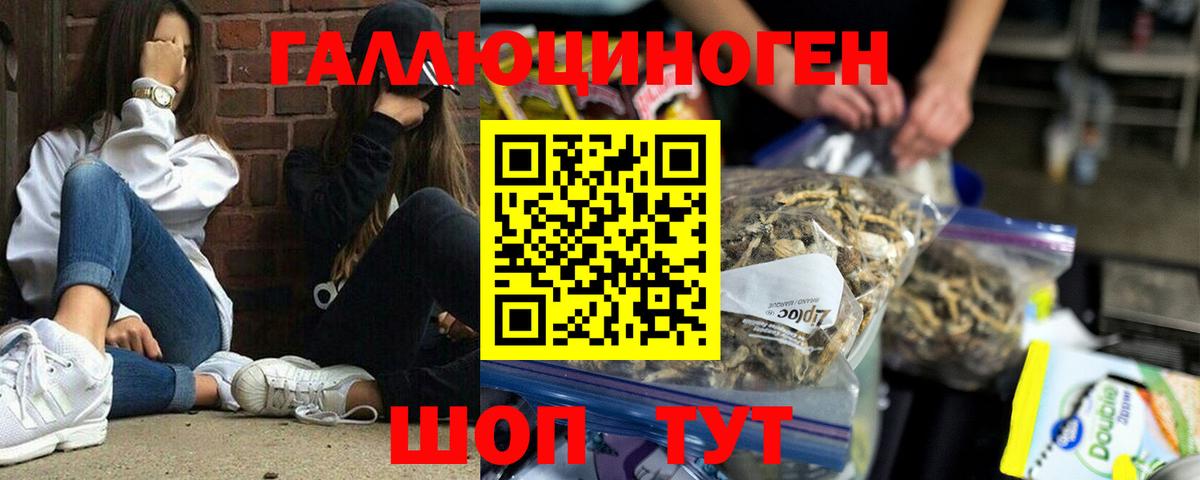 Псилоцибиновые грибы Psilocybe  Вход с VPN  Каменск-Шахтинский  Псилоцибиновые грибы Magic Shrooms 
