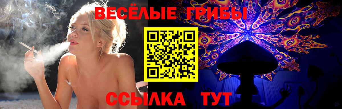 МАРИХУАНА  Вход с VPN  Alpha-PVP СК кристаллы  Меф МЯУ МЯУ   МЕФ  Каменск-Шахтинский  ГАШ  Гашиш  Кокаин 